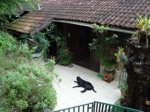 Casa Alecrim Bed & Breakfast Рио де Жанейро Екстериор снимка